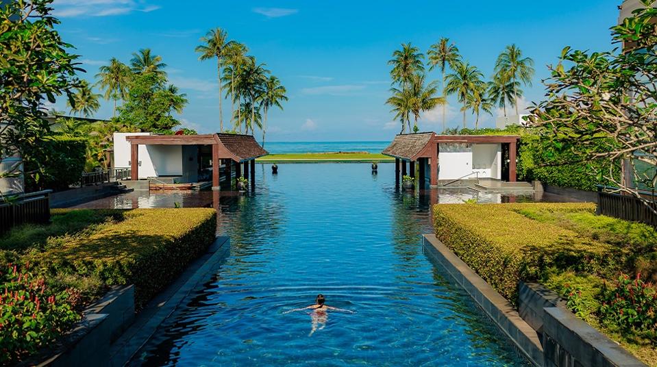 Explore lush Thailand.