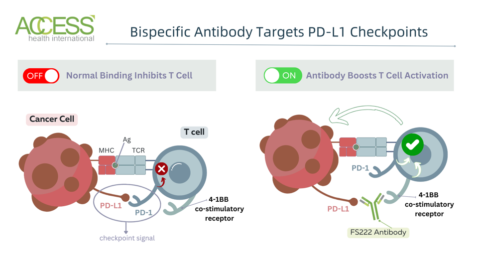 FS222 bispecific antibody