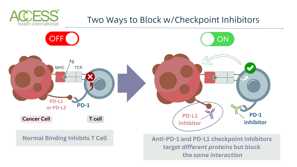 PD-1 and PD-L1 checkpoint inhibitor targets