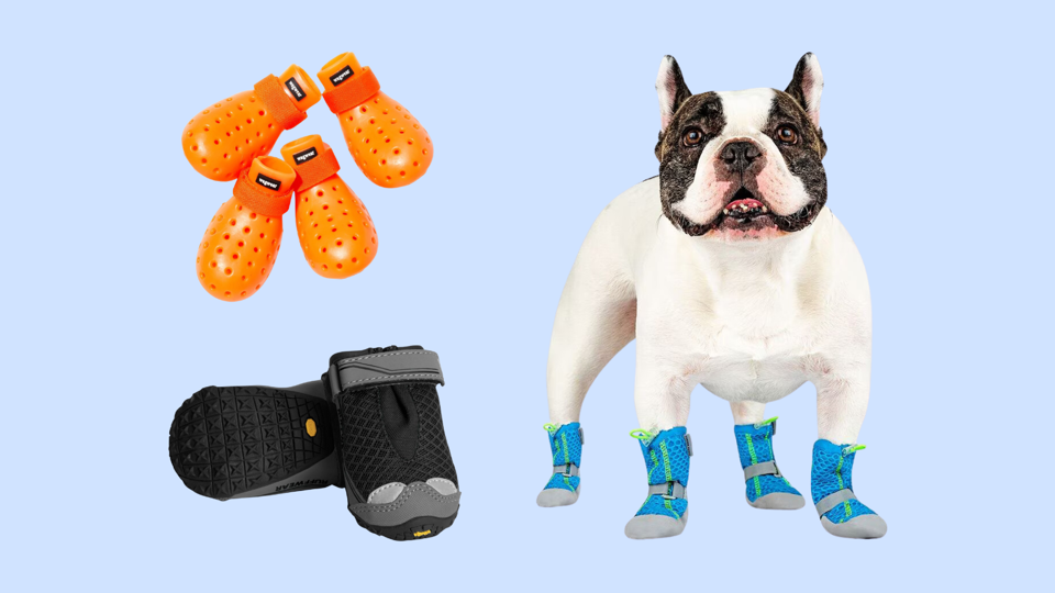 Dog shoes for hot asphalt discount