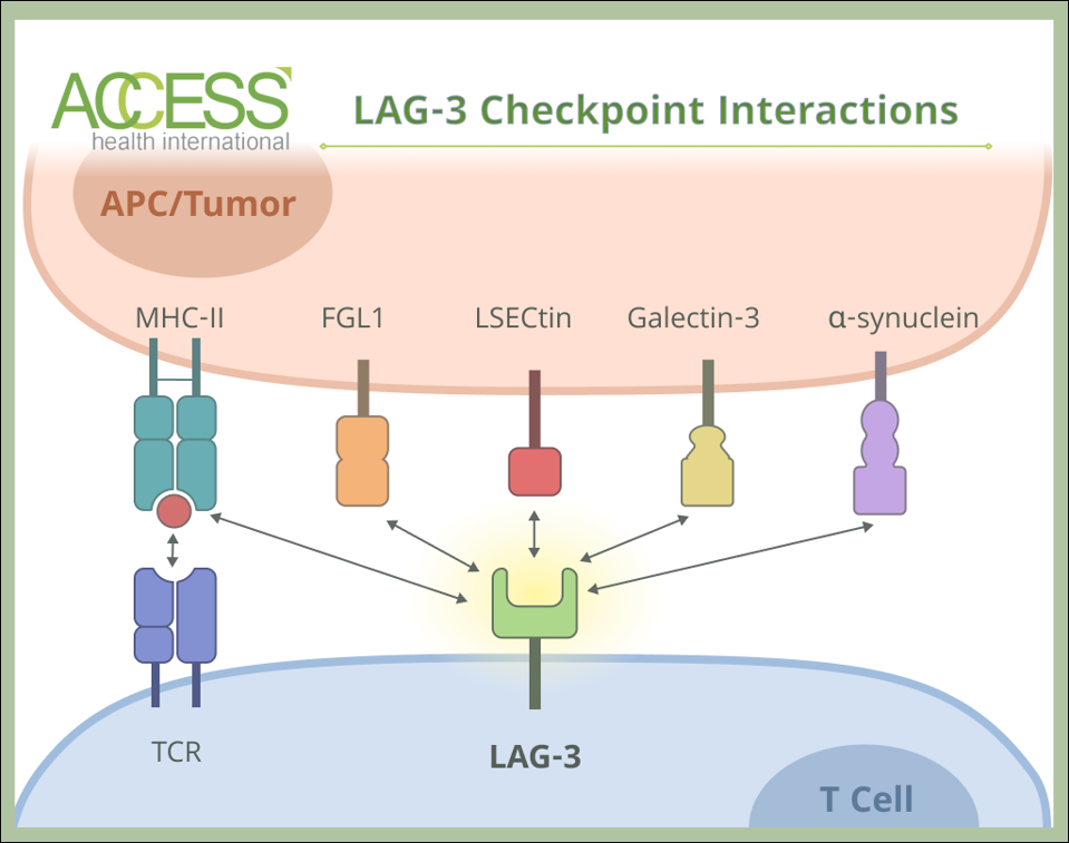 LAG-3 Checkpoint