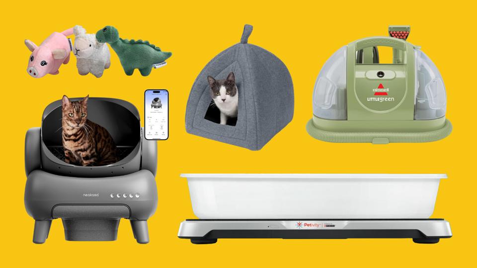 Best Prime Day Pet Deals 2024 - Forbes Vetted