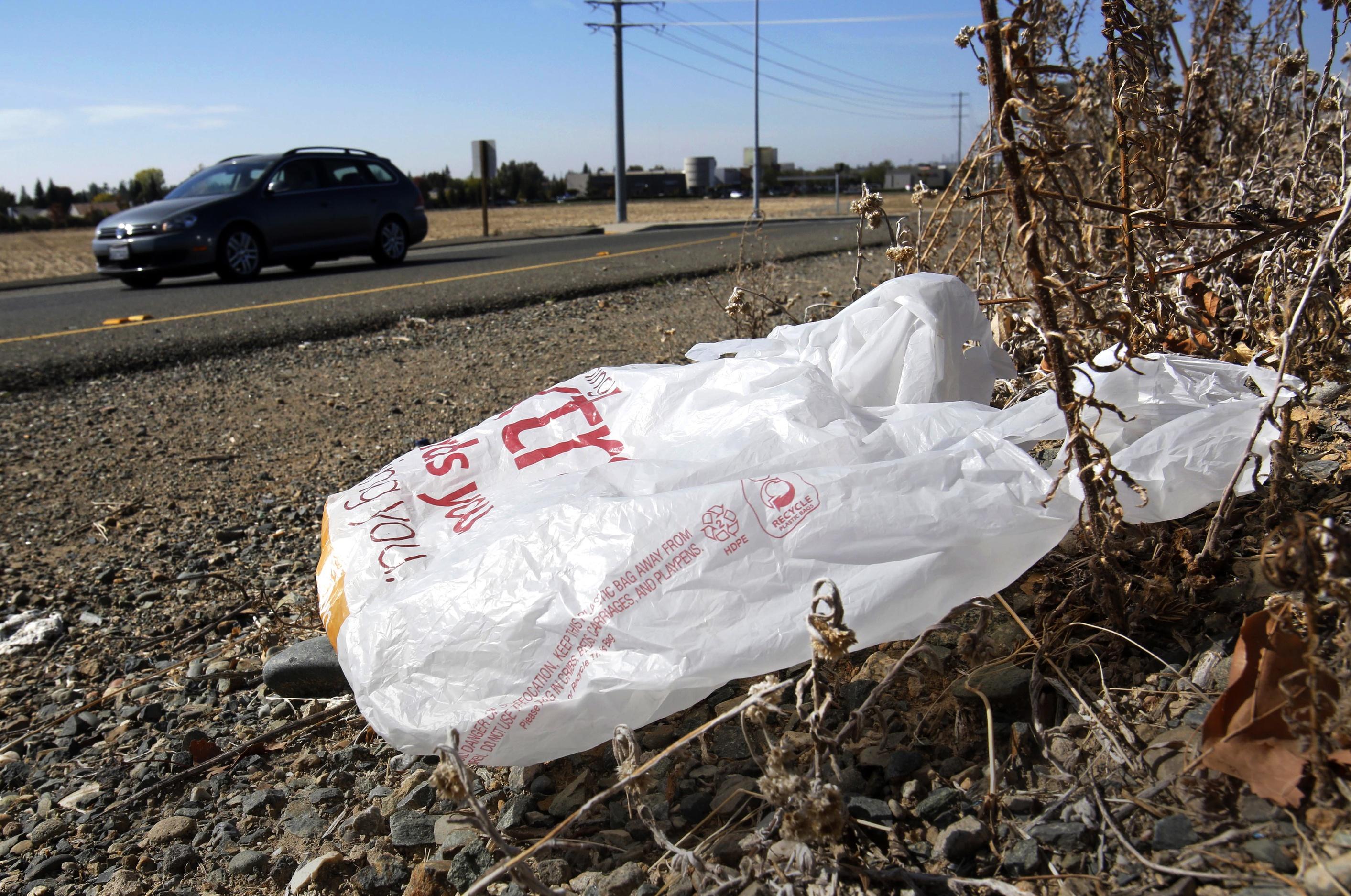 A plastic shopping bag sits on the side of the road, caught in a growth of weeds.