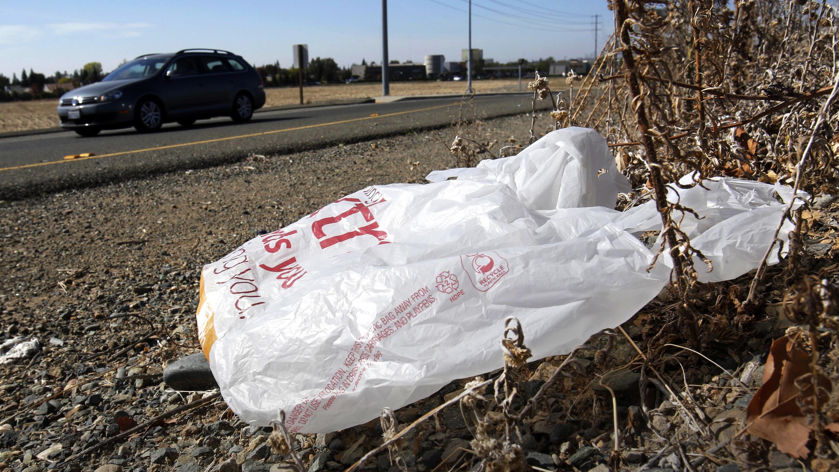 A plastic shopping bag sits on the side of the road, caught in a growth of weeds.