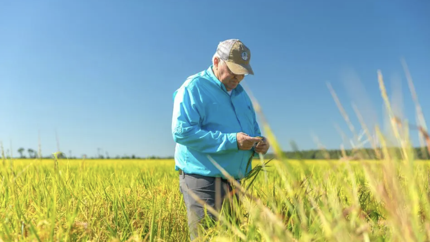 Farmer Chris Isbell of Arkansas' Isbell Farms stands in the middle of a field.