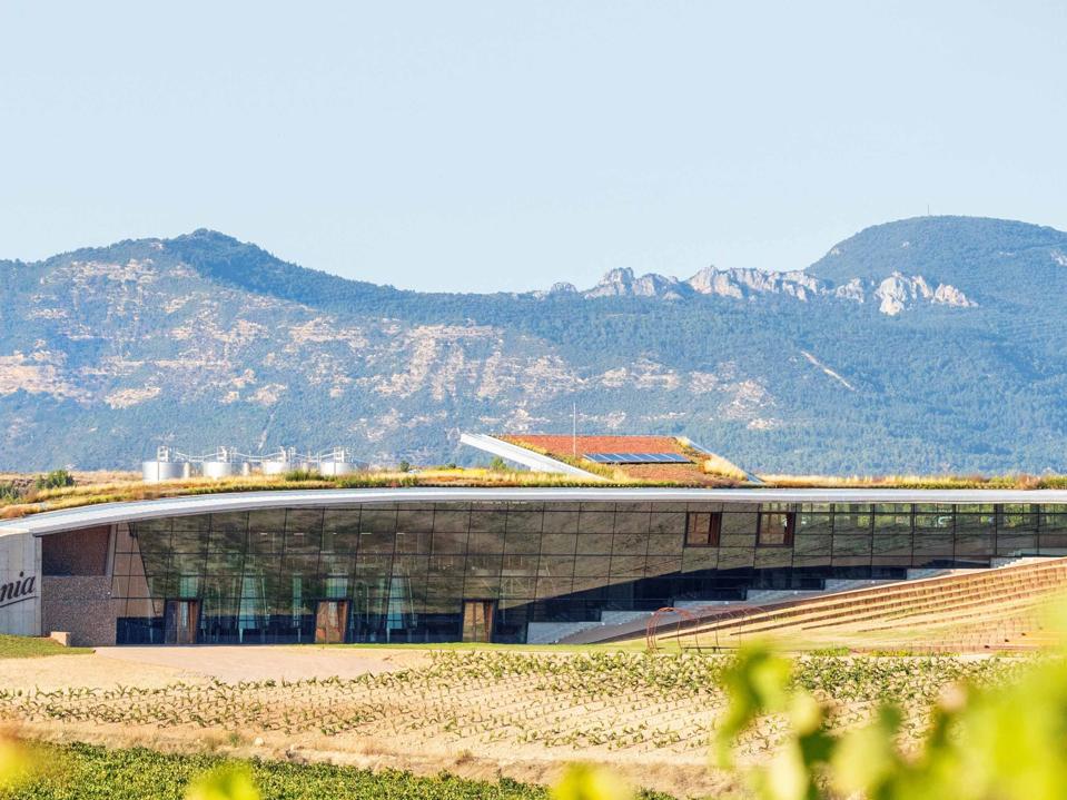 BeroniaNEwWinerylow (2)