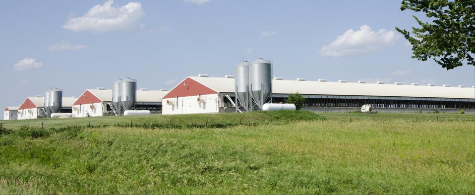 Four long white structures surrounded by grass