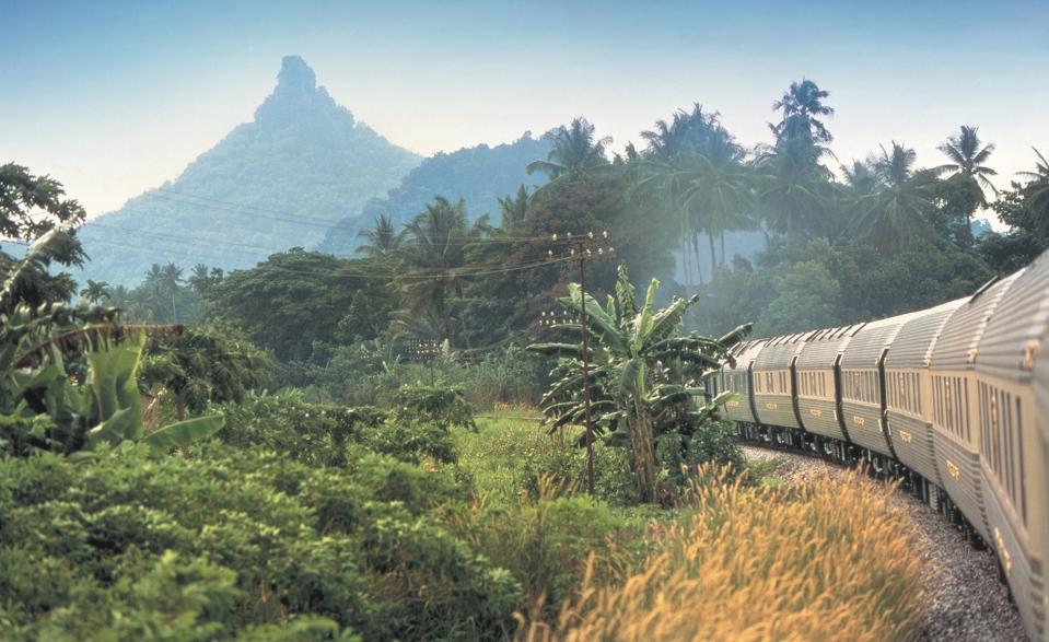 train in jungle