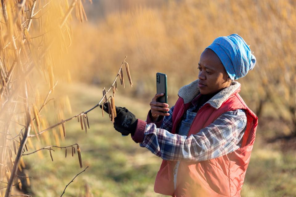 Emerging applications of AI can boost Africa's economic growth by $2.9 trillion by 2030.