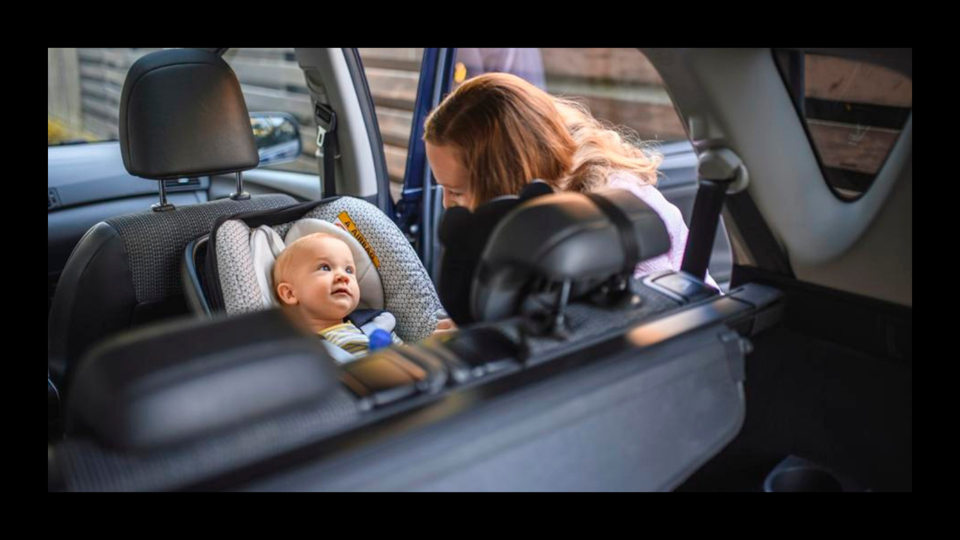 Tips And Products To Prevent Hot Car Deaths