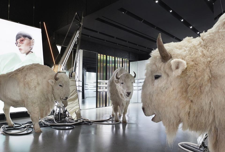 Meet Gentle Monster Fusing K-Pop Excitement With Immersive Retail