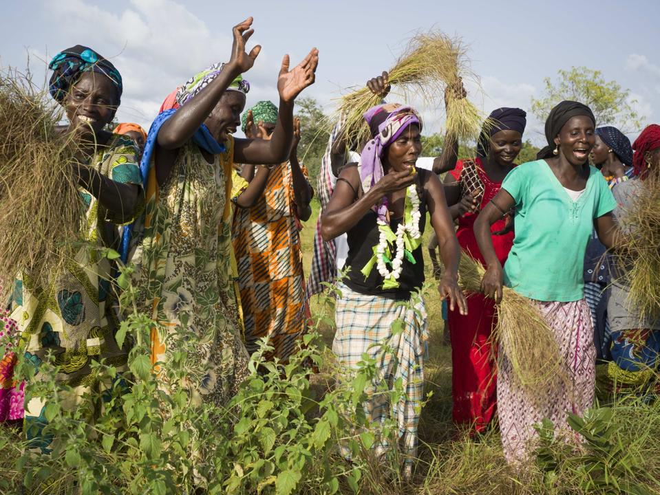 women fonio farmers