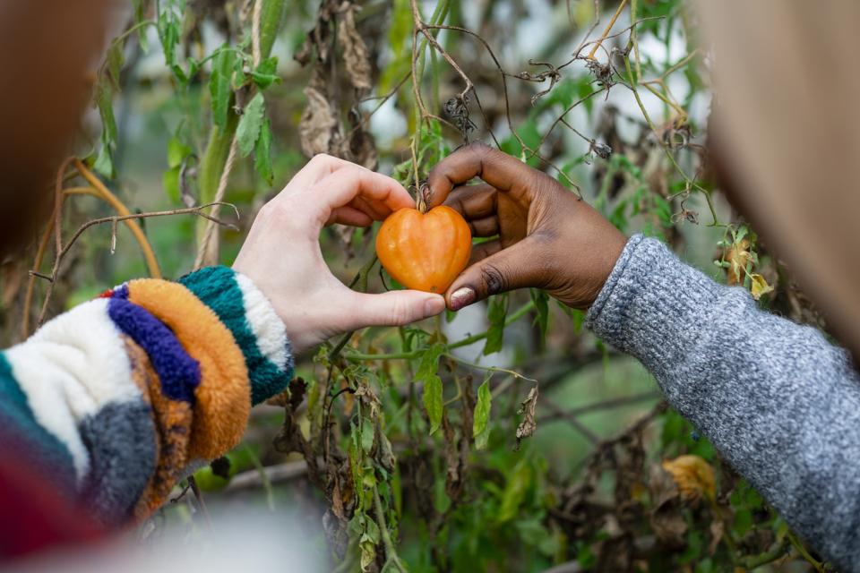 To Feed 10 Billion People By 2050, All You Need Is Love
