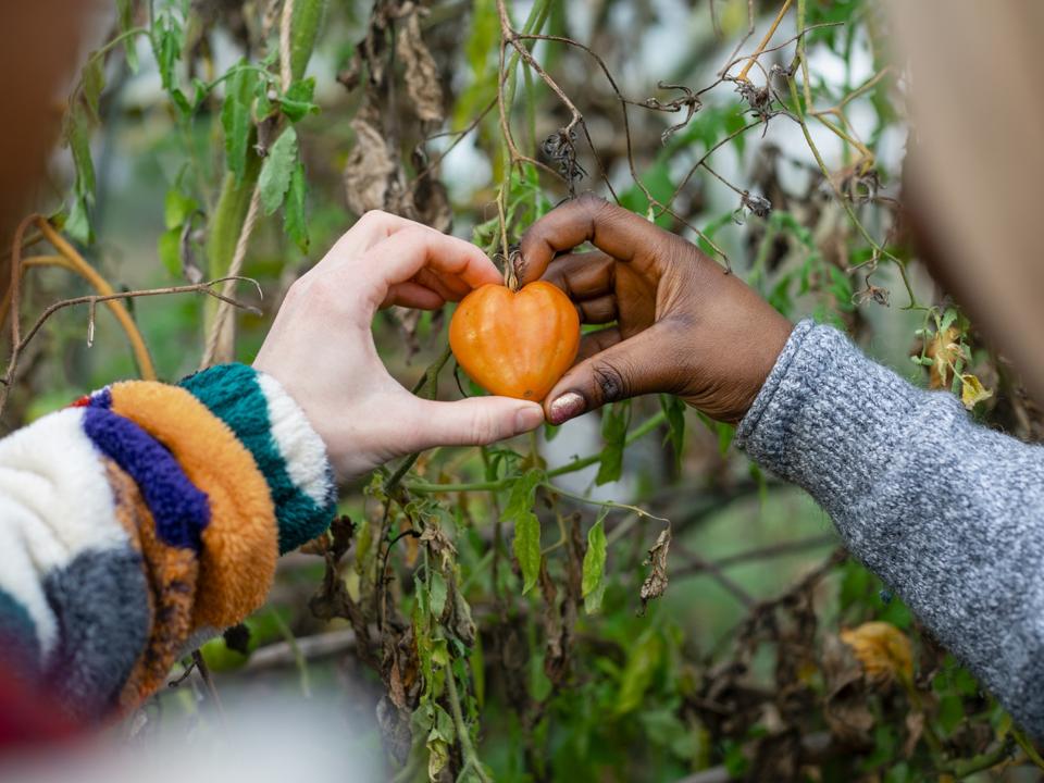 To Feed 10 Billion People By 2050, All You Need Is Love