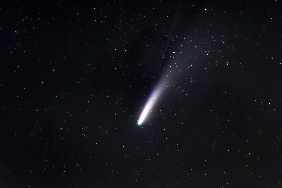 Isolated Neowise Comet