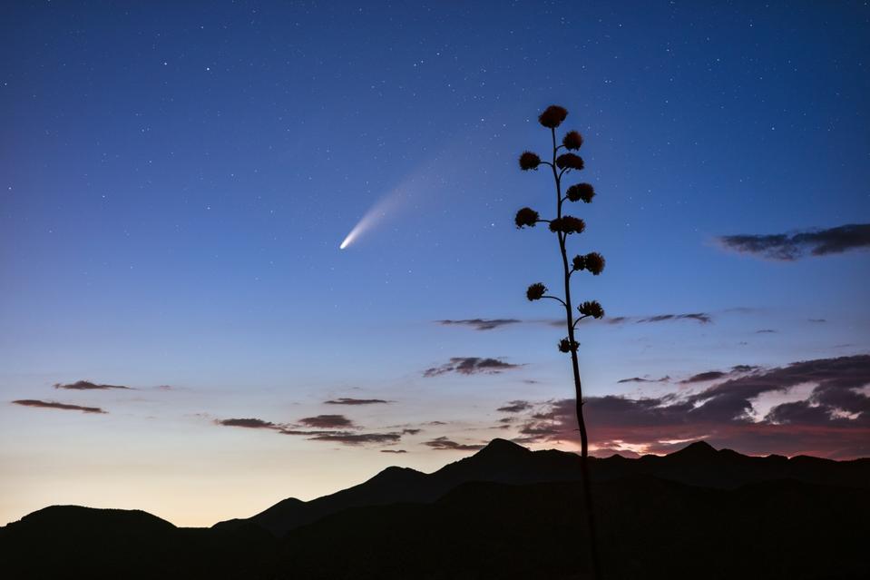 Comet Neowise in the night sky