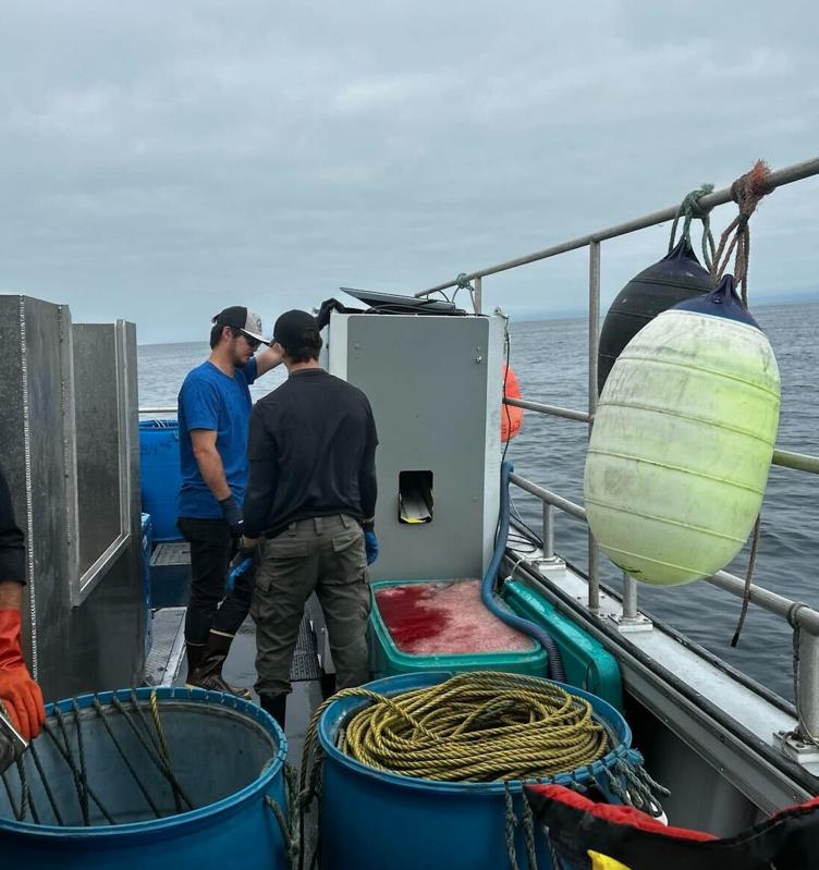 Automated Ike Jime Machine