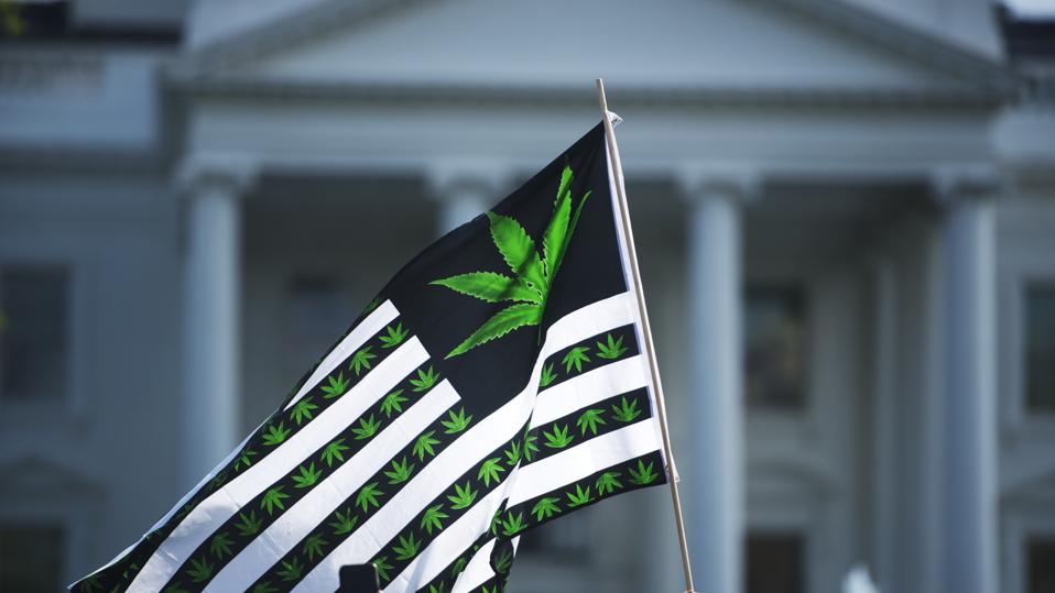 Hundreds of advocates for marijuana legalization rally and  smoke pot outside the White House.