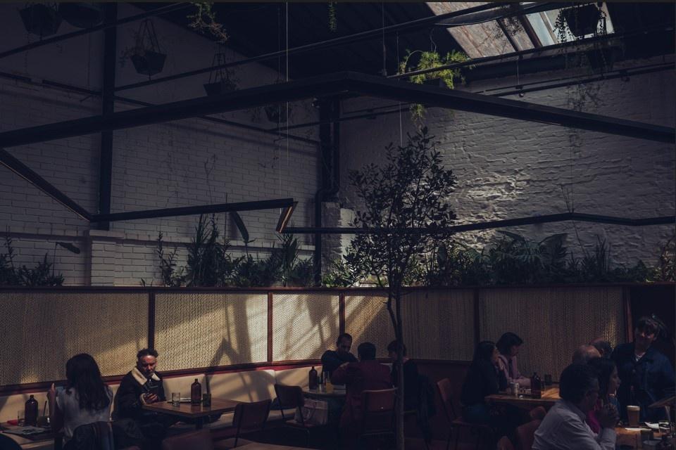 Salvo Patria Photo Credit Juan Felipe Rubio