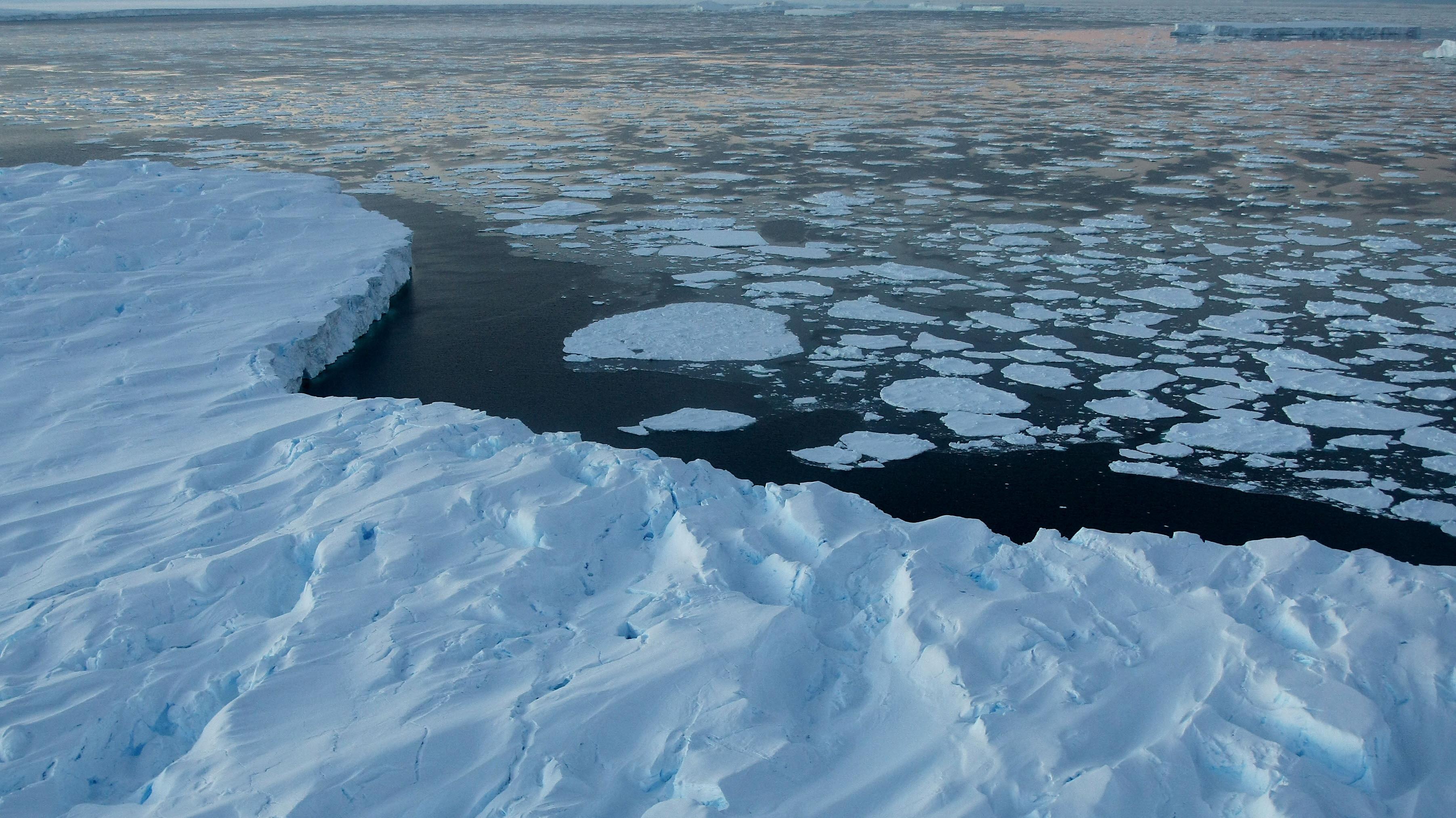 Global Warming Imapcts On Australian Antarctic Territory