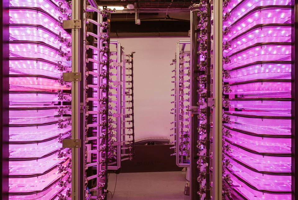 Green Onyx Quantum Growroom