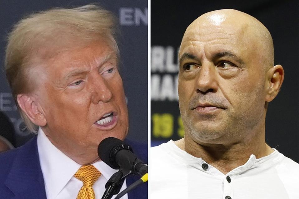 Election 2024 Trump Rogan