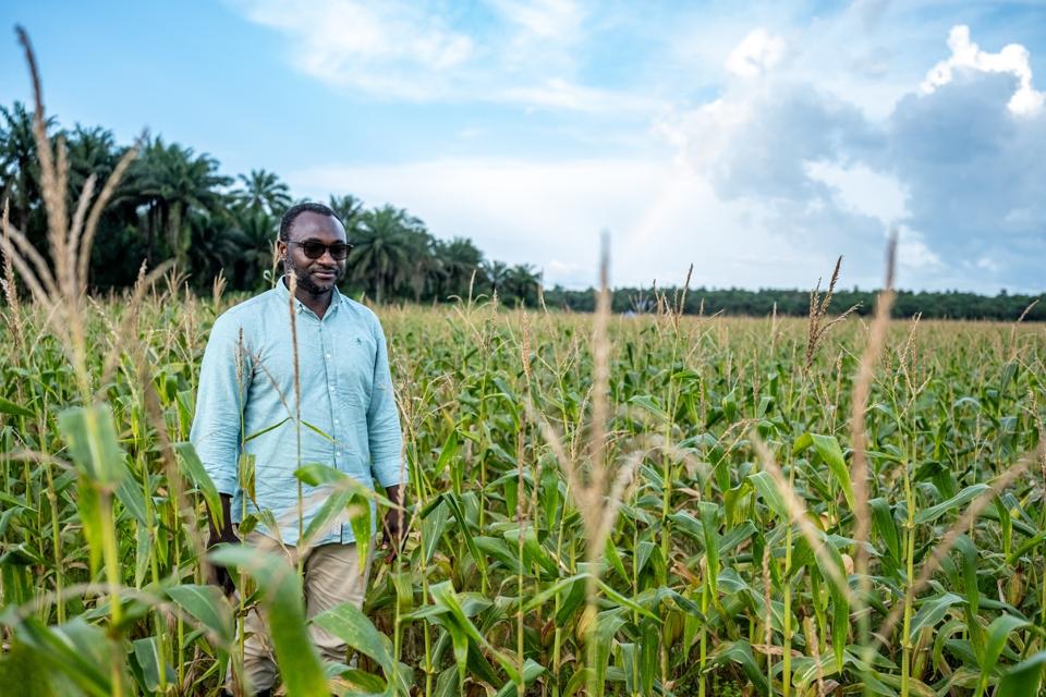 kpaka maize field