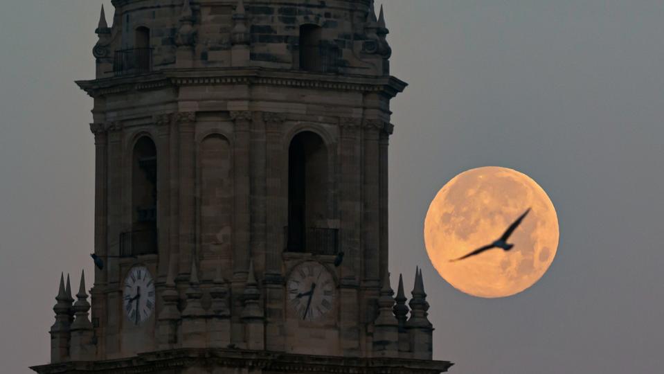 Sambut Full Cold Moon 2025: Bulan Super Terbesar dan Terindah Akhir Tahun
