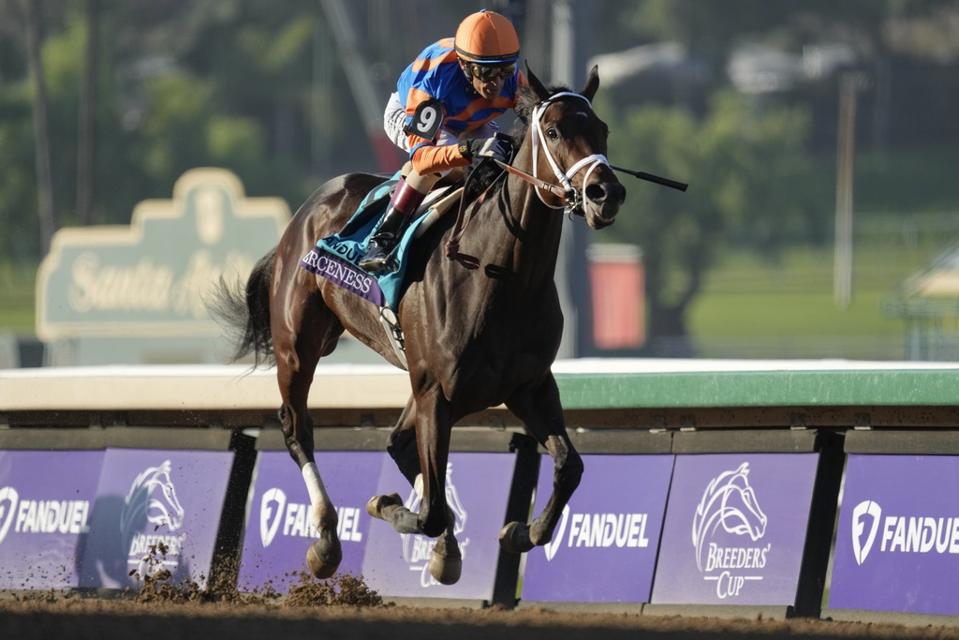 Breeders' Cup World Championships 2024