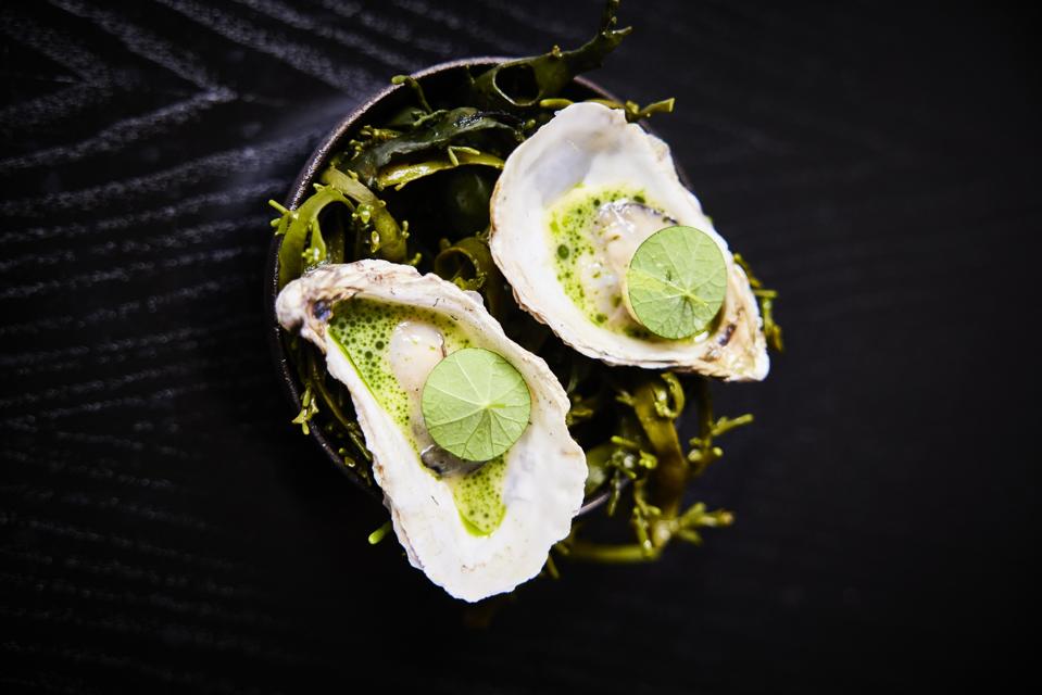 Signature Oysters Flambadou ekstedt at the yard