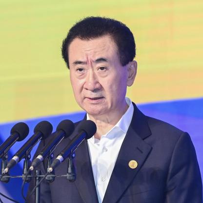 Wang Jianlin Net Worth and Profile