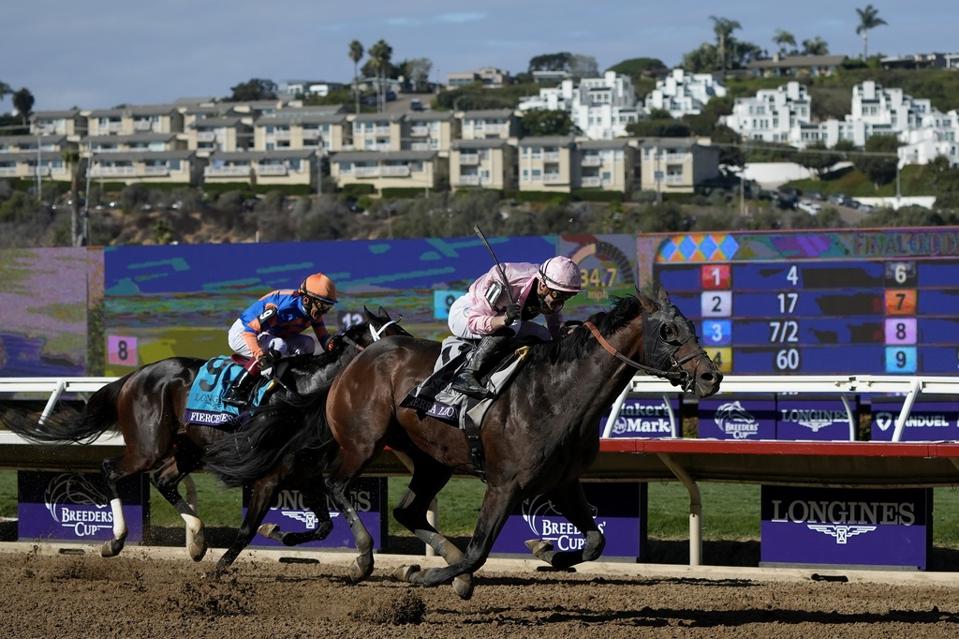2024 BREEDERS' CUP まとめセット 960x0.jpg