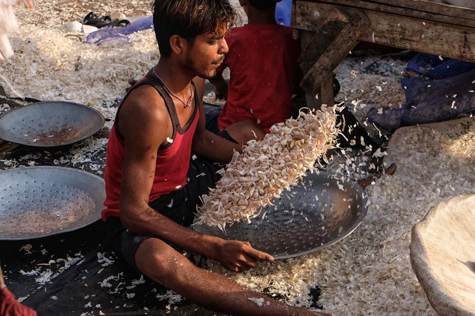 INDIA-ECONOMY-AGRICULTURE