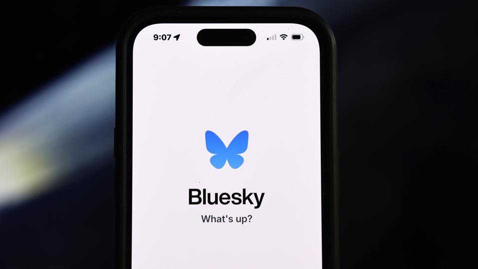 Social Media App Bluesky Social Increases Its User Base As People Leave X, Formerly Twitter