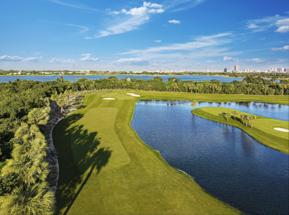 New Florida Golf Club