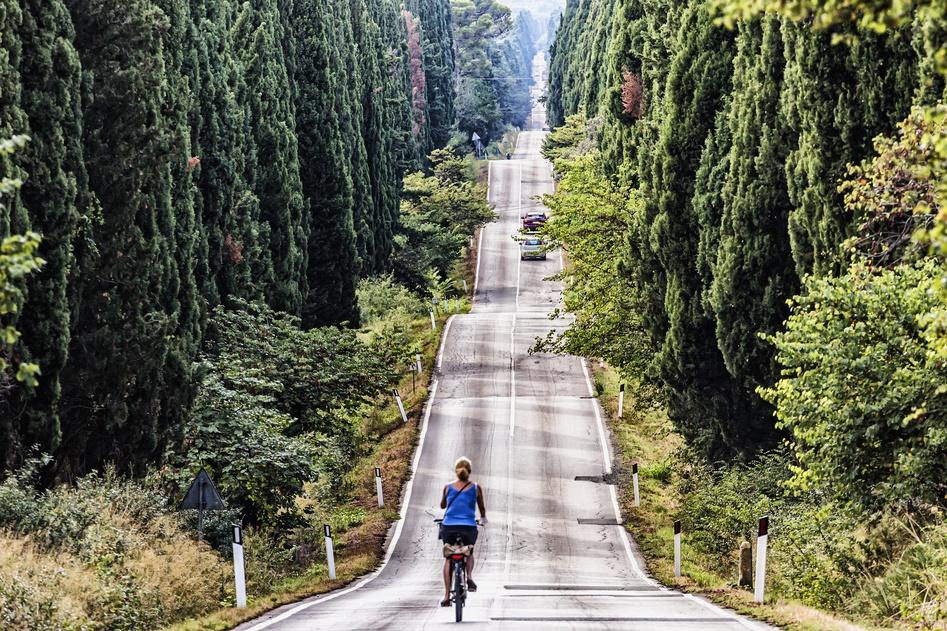 Bicycle along the Viale dei Cipressi