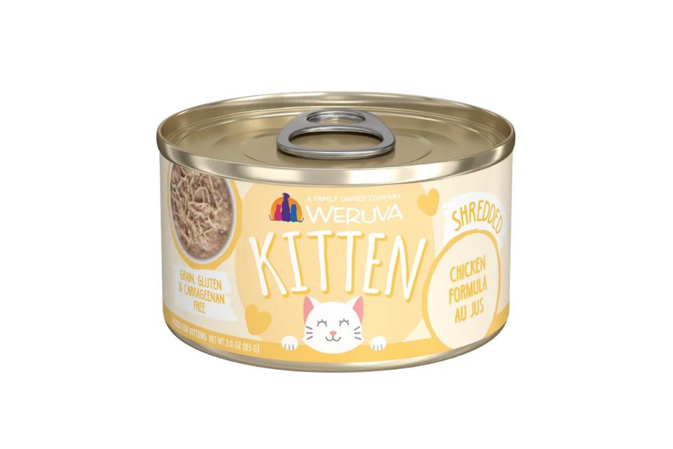 Best Wet Cat Foods 2026 - Forbes Vetted