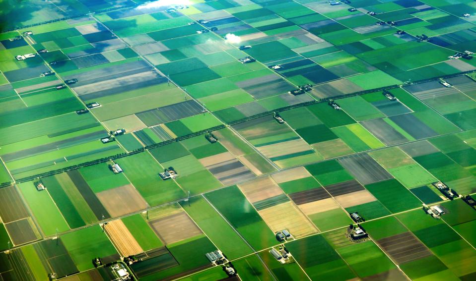 Green fields from an aerial view
