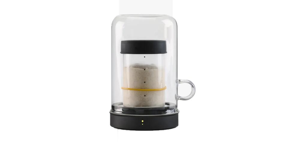 GOLDIE BY SOURHOUSE SOURDOUGH kit