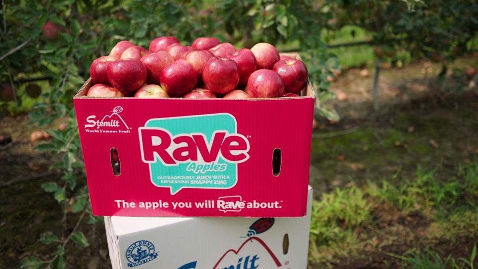Stemilt Rave-Carton-Orchard-2