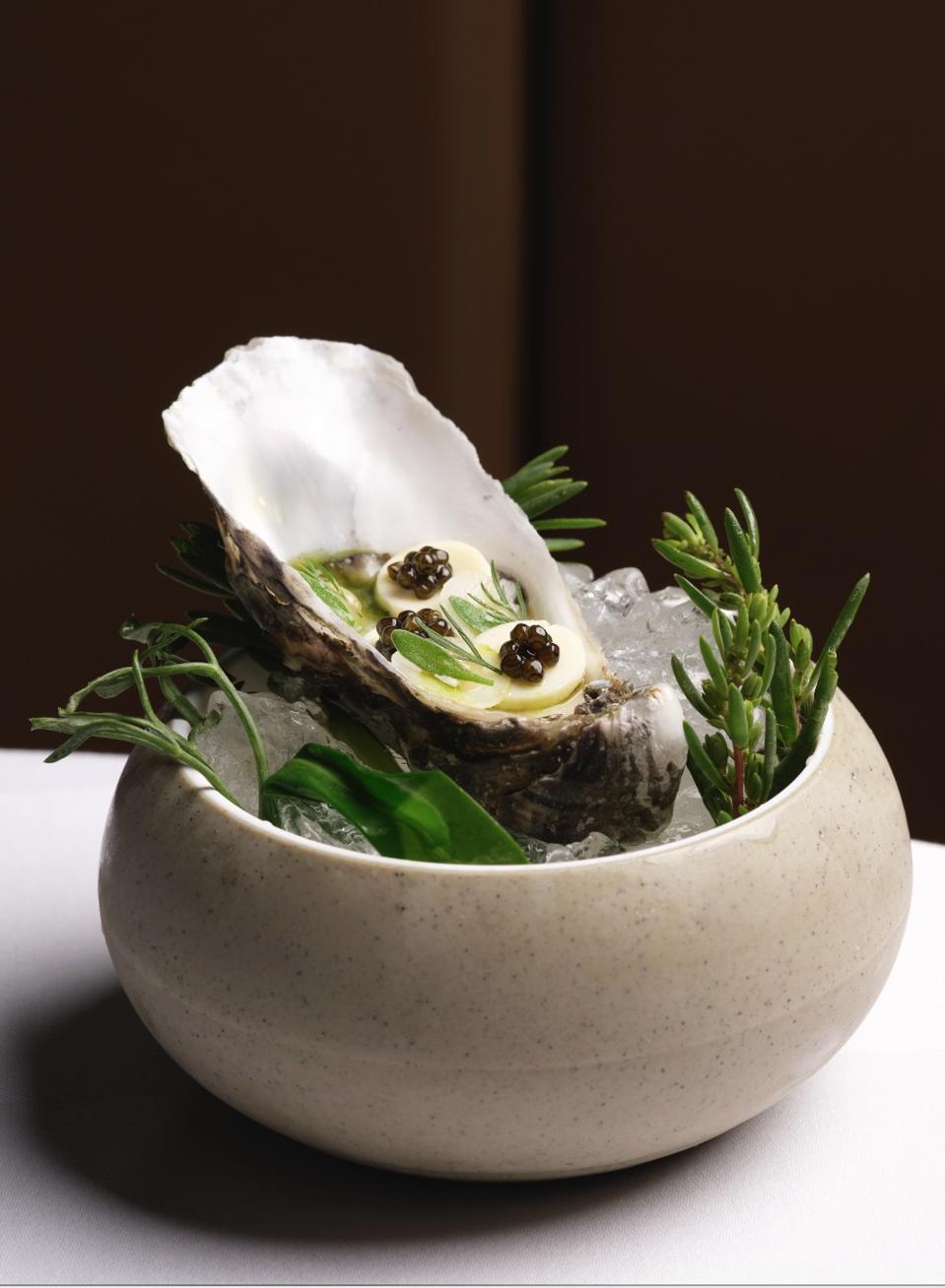 pied a terre oyster