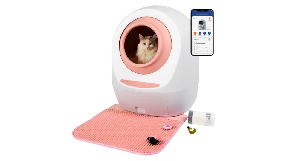 bathroom house trained cat