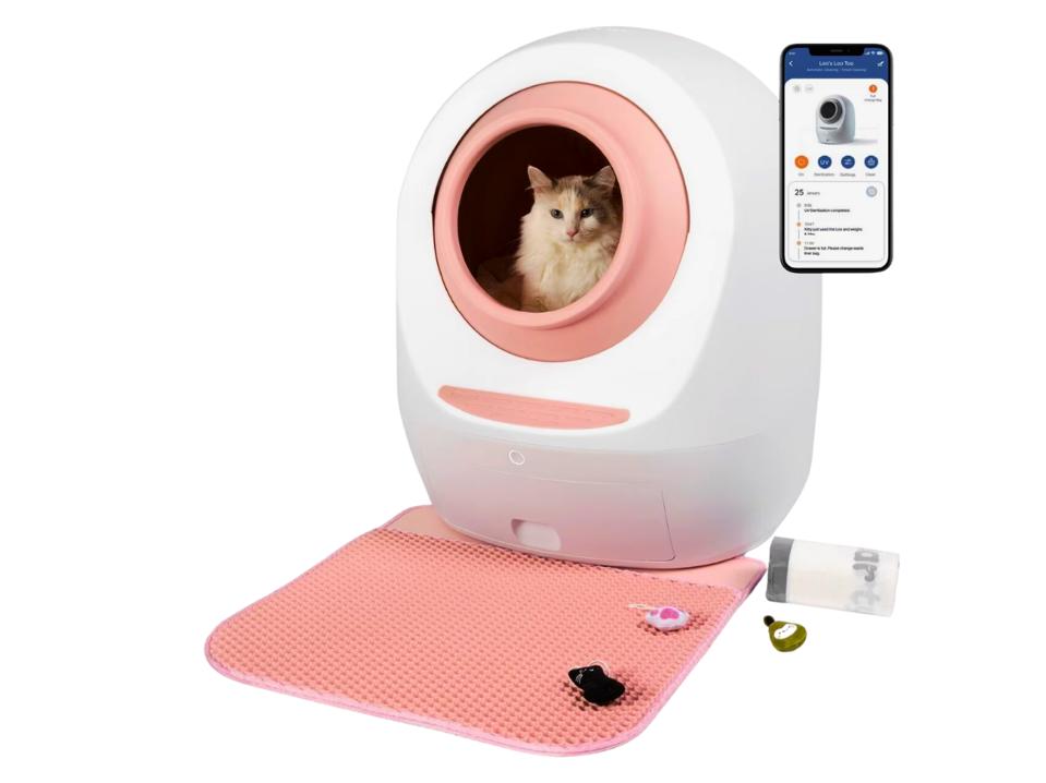 Best Automatic Litter Box for Large Cats: Ultimate Guide