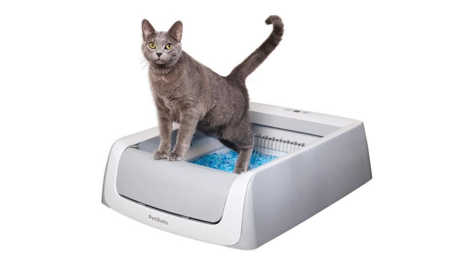 The Litter How To Clean A Litter Box While Pregnant Automatic