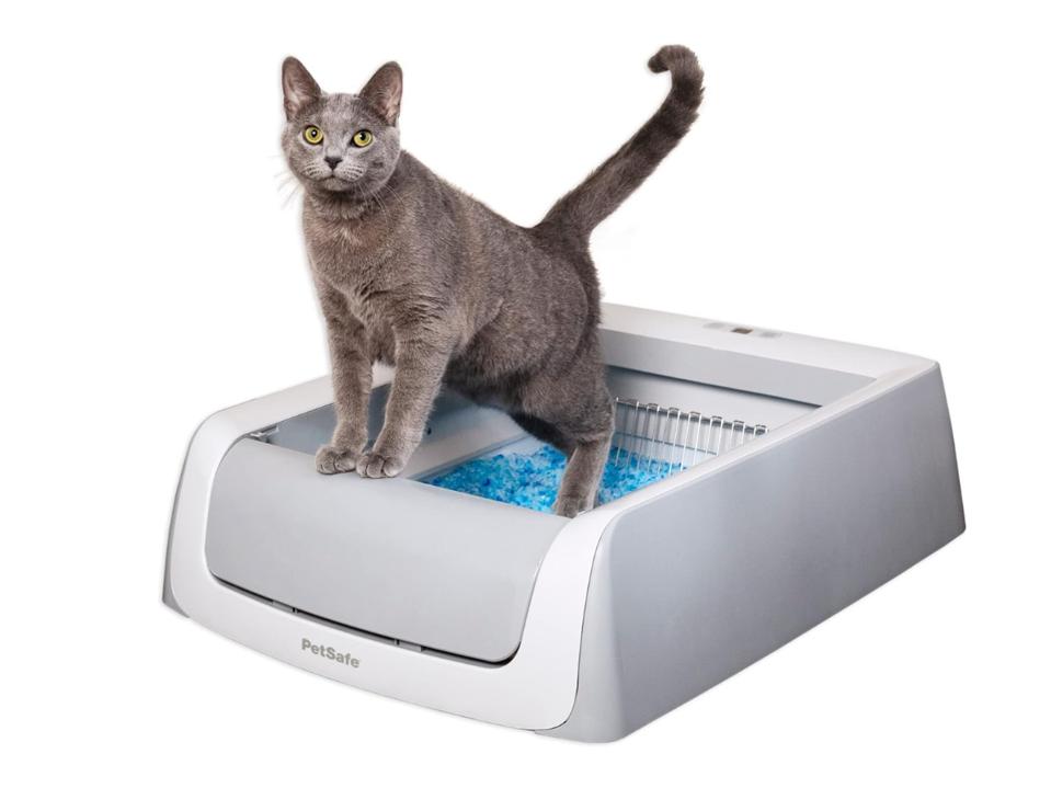 Best Automatic Cat Litter Box: Ultimate Convenience Guide