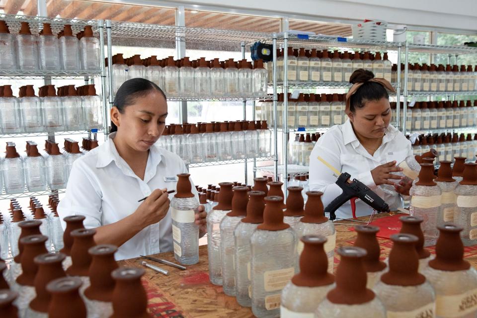 women decorating bottles