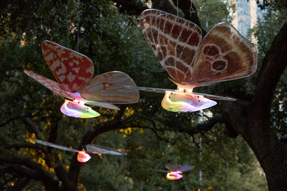 Mingle With Moths Among The Oak Trees In Houston's Discovery Green
