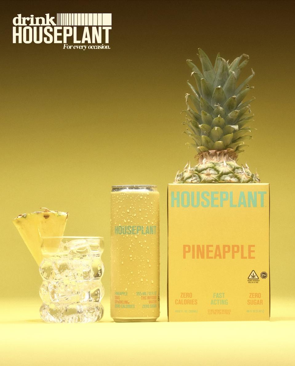 Houseplant Pineapple