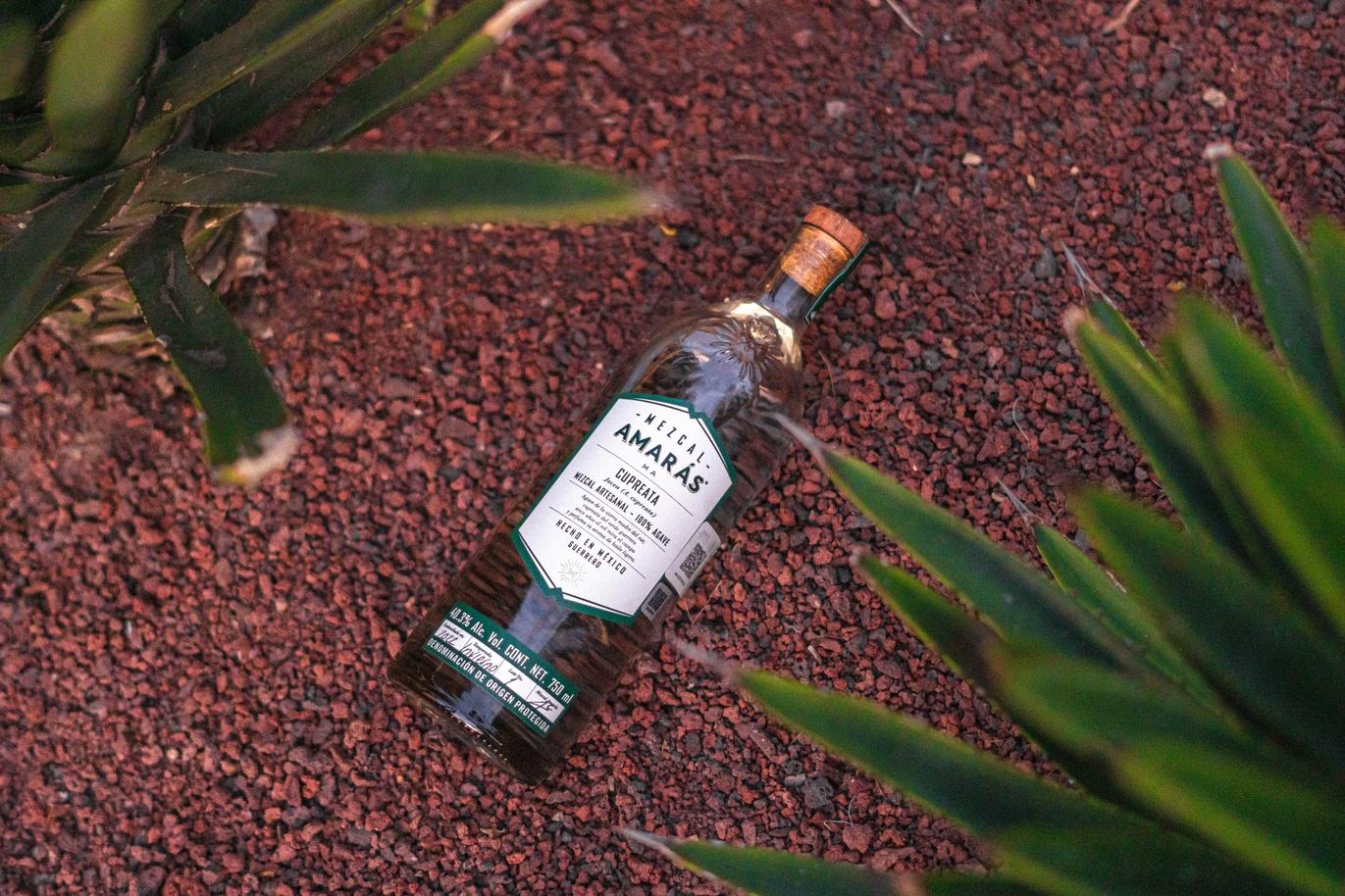 AMARÁS Cupreata. Image courtesy of AMARÁS