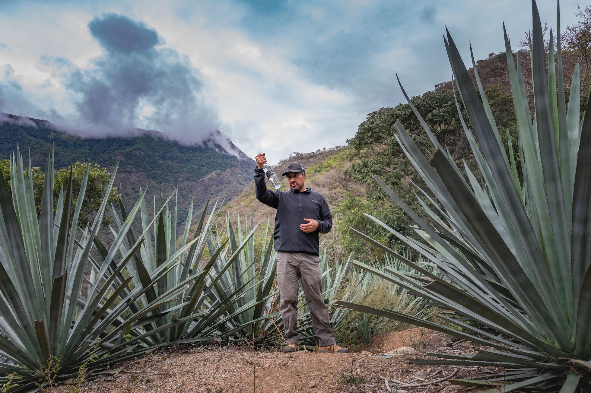 Tosba Mezcal. Image Courtesy of Anna Bruce